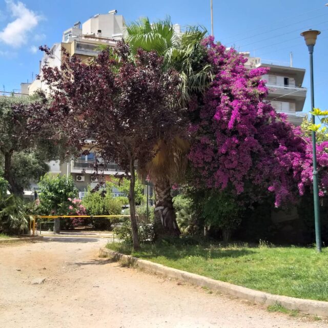 Μυρτιλλο-Εισοδος